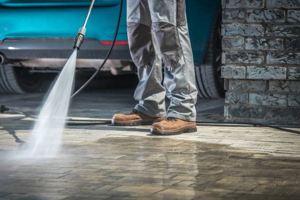 Professional  Pressure Washing Services in Roosevelt Gardens, FL