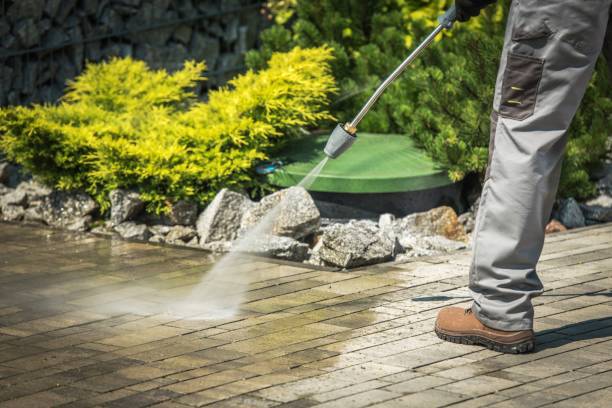Best Dumpster Area Cleaning  in Roosevelt Gardens, FL