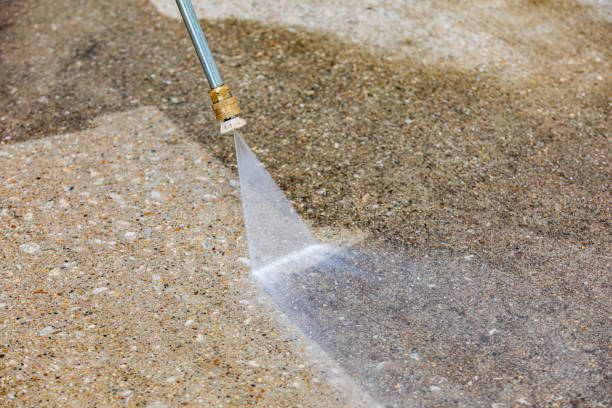 Best Boat and Dock Cleaning  in Roosevelt Gardens, FL